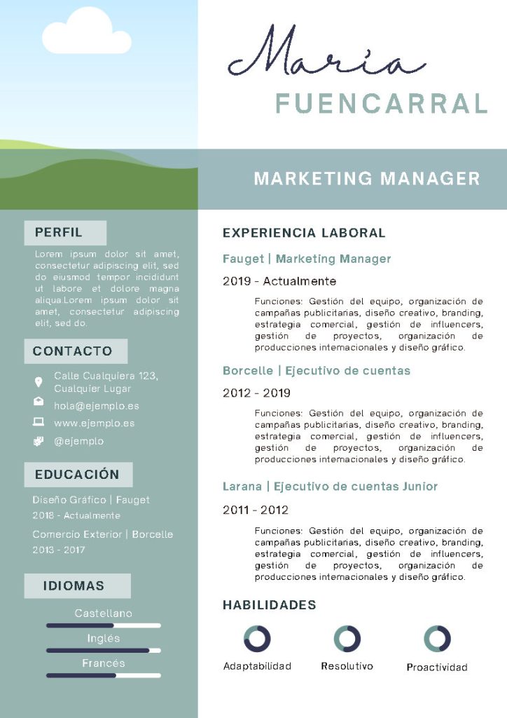 ejemplo de curriculum vitae profesional 2024