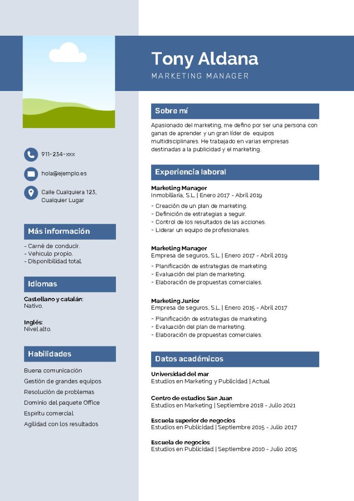 modelo de curriculum vitae actualizado