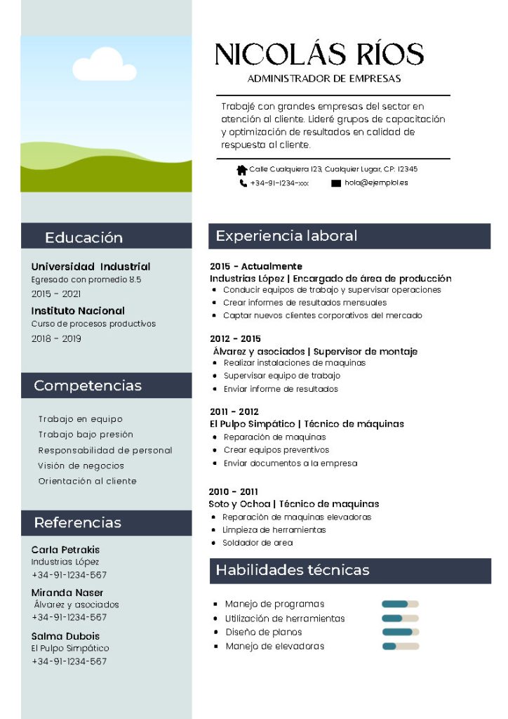 modelos cv actuales